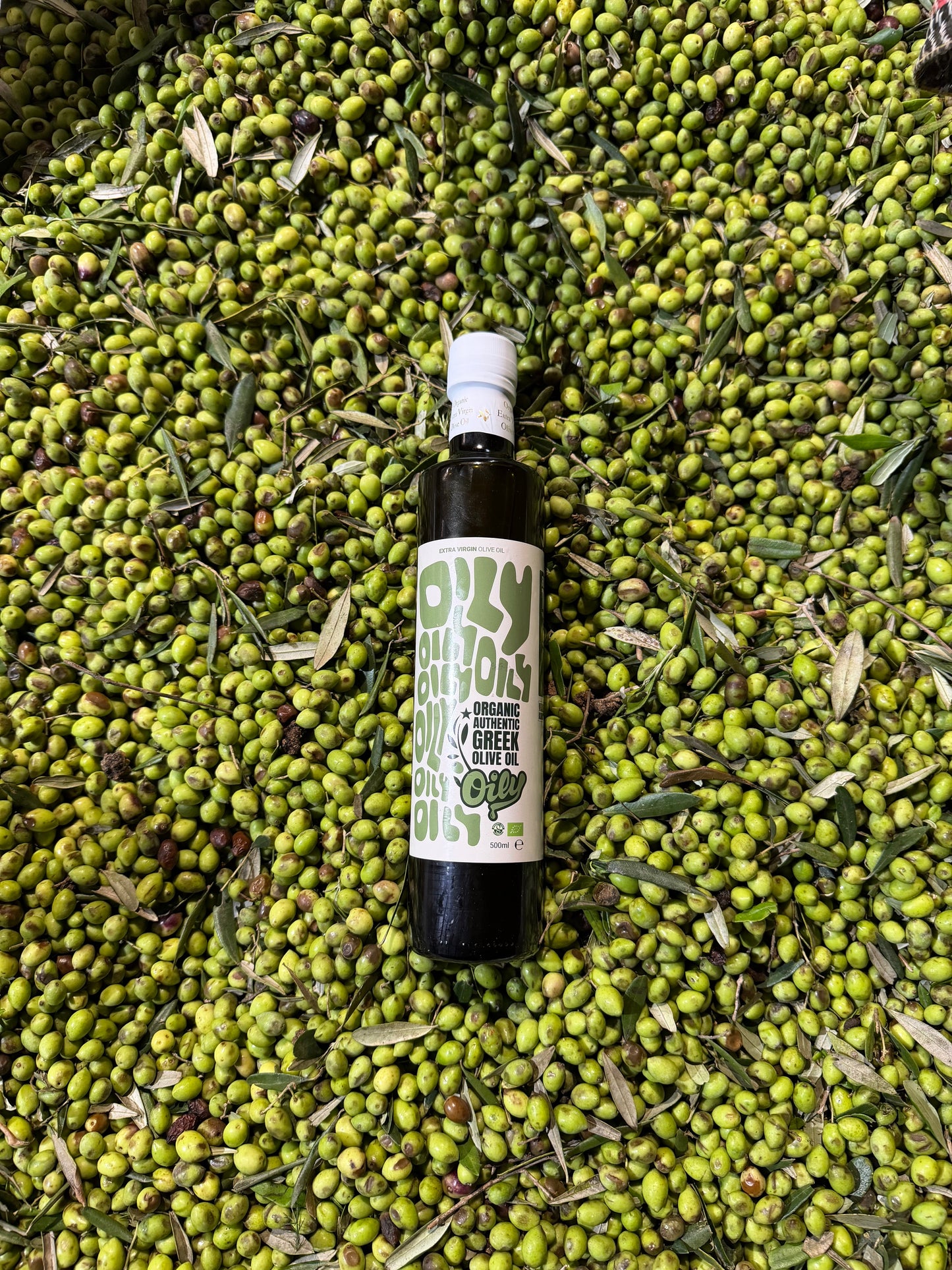 Glass Organic Extra Virgin Olive Oil